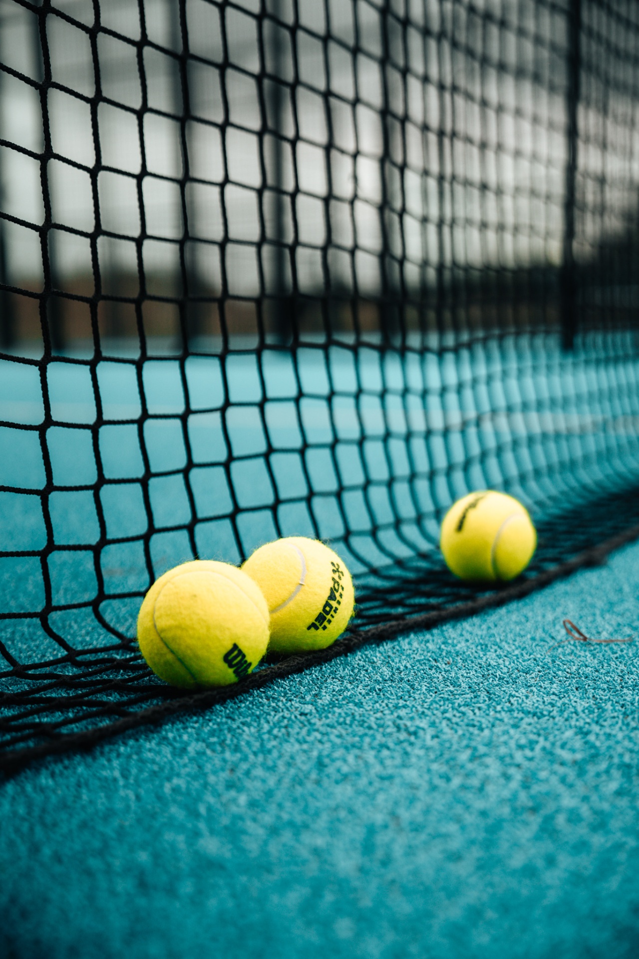 Padelballen op het court